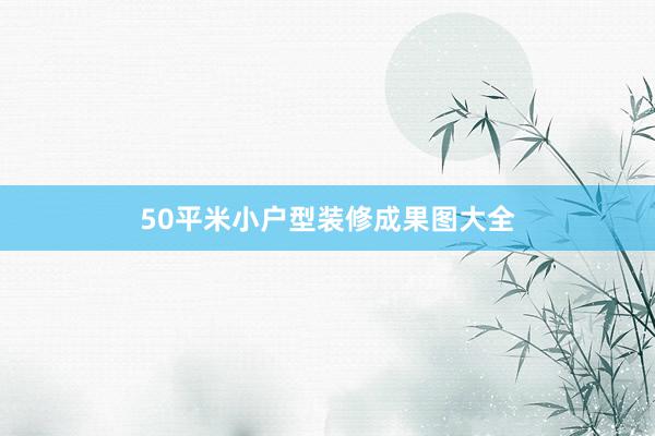 50平米小户型装修成果图大全