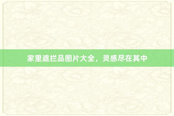 家里遮拦品图片大全，灵感尽在其中