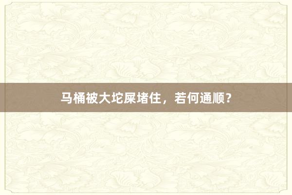 马桶被大坨屎堵住，若何通顺？